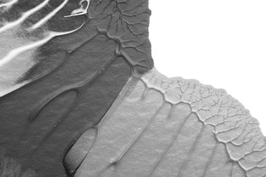 beyaz kağıt arkaplan üzerinde siyah beyaz soyut akrilik boya renk dokusu rorschach mürekkep lekesi yöntemi kullanarak