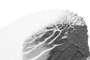 beyaz kağıt arkaplan üzerinde siyah beyaz soyut akrilik boya renk dokusu rorschach mürekkep lekesi yöntemi kullanarak