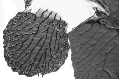 beyaz kağıt arkaplan üzerinde siyah beyaz soyut akrilik boya renk dokusu rorschach mürekkep lekesi yöntemi kullanarak