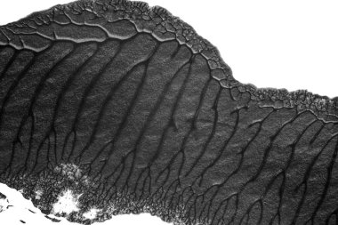 beyaz kağıt arkaplan üzerinde siyah beyaz soyut akrilik boya renk dokusu rorschach mürekkep lekesi yöntemi kullanarak