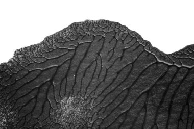 beyaz kağıt arkaplan üzerinde siyah beyaz soyut akrilik boya renk dokusu rorschach mürekkep lekesi yöntemi kullanarak