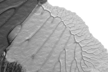 beyaz kağıt arkaplan üzerinde siyah beyaz soyut akrilik boya renk dokusu rorschach mürekkep lekesi yöntemi kullanarak