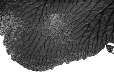 beyaz kağıt arkaplan üzerinde siyah beyaz soyut akrilik boya renk dokusu rorschach mürekkep lekesi yöntemi kullanarak