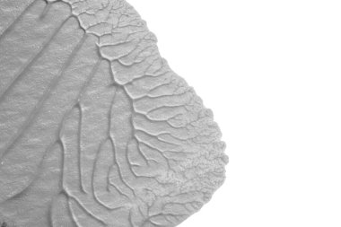 beyaz kağıt arkaplan üzerinde siyah beyaz soyut akrilik boya renk dokusu rorschach mürekkep lekesi yöntemi kullanarak