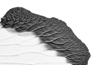 beyaz kağıt arkaplan üzerinde siyah beyaz soyut akrilik boya renk dokusu rorschach mürekkep lekesi yöntemi kullanarak