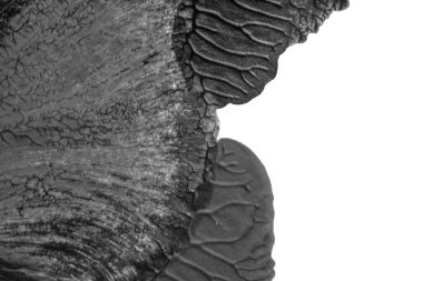 beyaz kağıt arkaplan üzerinde siyah beyaz soyut akrilik boya renk dokusu rorschach mürekkep lekesi yöntemi kullanarak