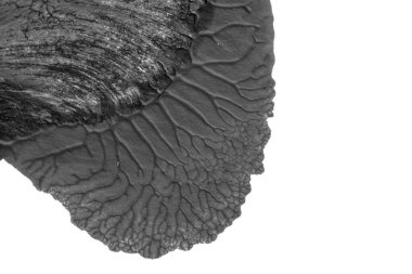 beyaz kağıt arkaplan üzerinde siyah beyaz soyut akrilik boya renk dokusu rorschach mürekkep lekesi yöntemi kullanarak