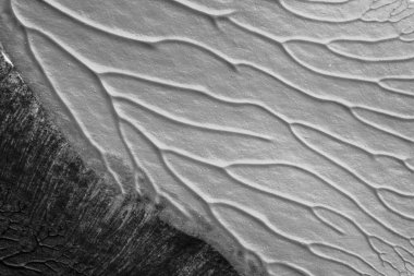 beyaz kağıt arkaplan üzerinde siyah beyaz soyut akrilik boya renk dokusu rorschach mürekkep lekesi yöntemi kullanarak