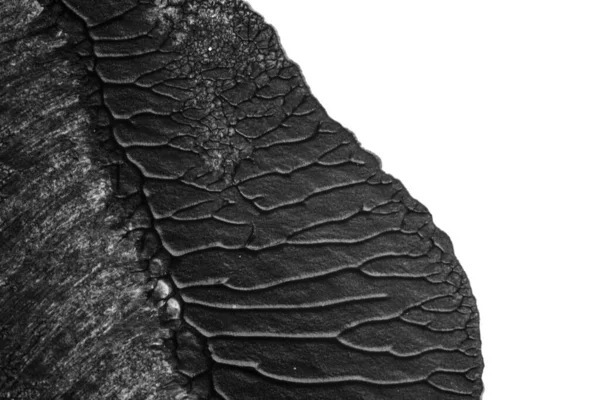 beyaz kağıt arkaplan üzerinde siyah beyaz soyut akrilik boya renk dokusu rorschach mürekkep lekesi yöntemi kullanarak