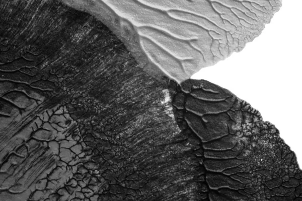 beyaz kağıt arkaplan üzerinde siyah beyaz soyut akrilik boya renk dokusu rorschach mürekkep lekesi yöntemi kullanarak