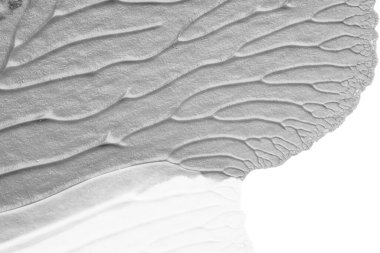 beyaz kağıt arkaplan üzerinde siyah beyaz soyut akrilik boya renk dokusu rorschach mürekkep lekesi yöntemi kullanarak