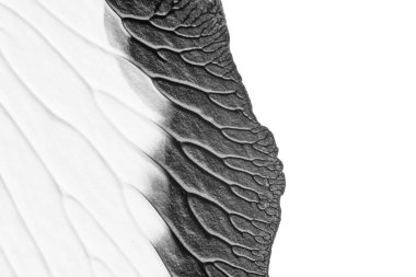 beyaz kağıt arkaplan üzerinde siyah beyaz soyut akrilik boya renk dokusu rorschach mürekkep lekesi yöntemi kullanarak