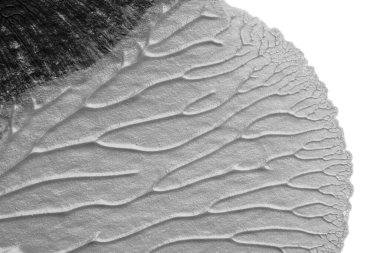 beyaz kağıt arkaplan üzerinde siyah beyaz soyut akrilik boya renk dokusu rorschach mürekkep lekesi yöntemi kullanarak