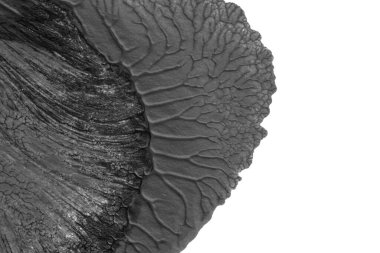 beyaz kağıt arkaplan üzerinde siyah beyaz soyut akrilik boya renk dokusu rorschach mürekkep lekesi yöntemi kullanarak