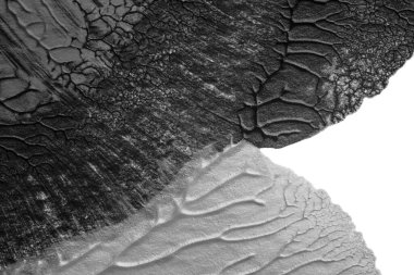 beyaz kağıt arkaplan üzerinde siyah beyaz soyut akrilik boya renk dokusu rorschach mürekkep lekesi yöntemi kullanarak