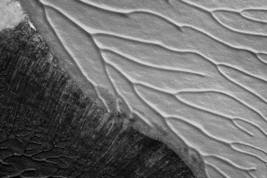 beyaz kağıt arkaplan üzerinde siyah beyaz soyut akrilik boya renk dokusu rorschach mürekkep lekesi yöntemi kullanarak