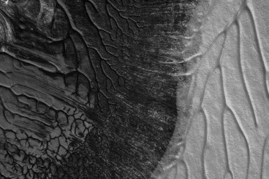 beyaz kağıt arkaplan üzerinde siyah beyaz soyut akrilik boya renk dokusu rorschach mürekkep lekesi yöntemi kullanarak