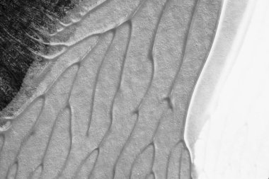 beyaz kağıt arkaplan üzerinde siyah beyaz soyut akrilik boya renk dokusu rorschach mürekkep lekesi yöntemi kullanarak