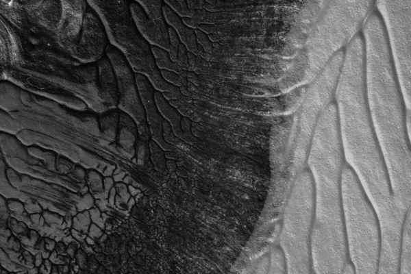 beyaz kağıt arkaplan üzerinde siyah beyaz soyut akrilik boya renk dokusu rorschach mürekkep lekesi yöntemi kullanarak