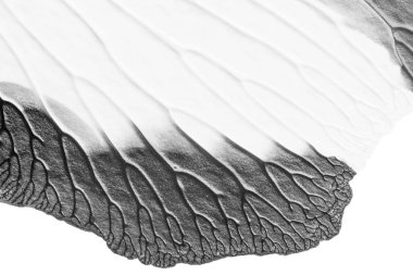 beyaz kağıt arkaplan üzerinde siyah beyaz soyut akrilik boya renk dokusu rorschach mürekkep lekesi yöntemi kullanarak