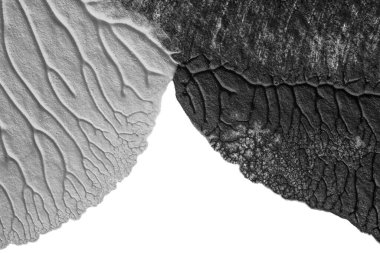 beyaz kağıt arkaplan üzerinde siyah beyaz soyut akrilik boya renk dokusu rorschach mürekkep lekesi yöntemi kullanarak