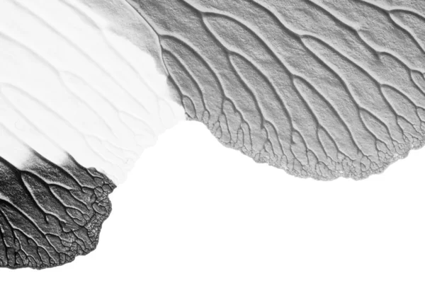 beyaz kağıt arkaplan üzerinde siyah beyaz soyut akrilik boya renk dokusu rorschach mürekkep lekesi yöntemi kullanarak