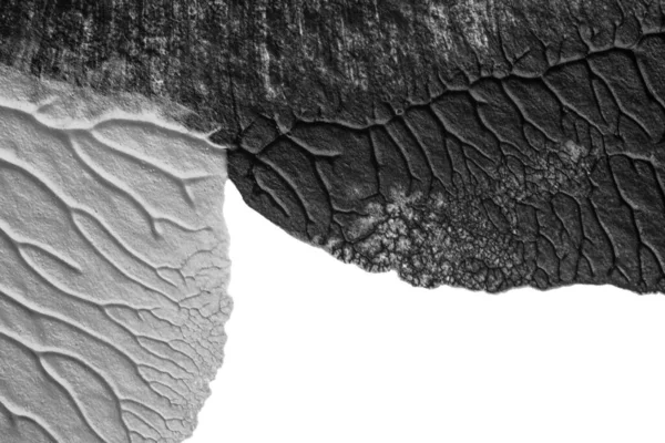 beyaz kağıt arkaplan üzerinde siyah beyaz soyut akrilik boya renk dokusu rorschach mürekkep lekesi yöntemi kullanarak