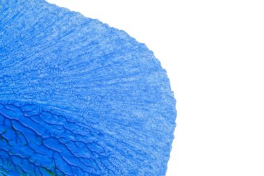 Beyaz kağıda akrilik renkler çizdim ve kağıdı karıştırılmış akrilik renklerin dokusunu oluşturan rorschach mürekkep lekesine benzer şekilde katladım..