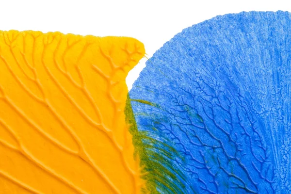 Beyaz kağıda akrilik renkler çizdim ve kağıdı karıştırılmış akrilik renklerin dokusunu oluşturan rorschach mürekkep lekesine benzer şekilde katladım..