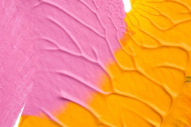 Beyaz kağıda akrilik renkler çizdim ve kağıdı karıştırılmış akrilik renklerin dokusunu oluşturan rorschach mürekkep lekesine benzer şekilde katladım..