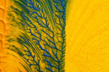 Beyaz kağıda akrilik renkler çizdim ve kağıdı karıştırılmış akrilik renklerin dokusunu oluşturan rorschach mürekkep lekesine benzer şekilde katladım..