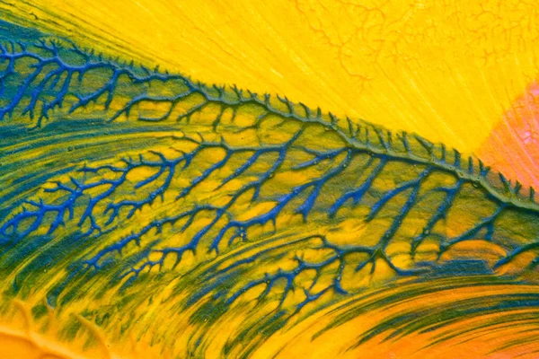 Beyaz kağıda akrilik renkler çizdim ve kağıdı karıştırılmış akrilik renklerin dokusunu oluşturan rorschach mürekkep lekesine benzer şekilde katladım..