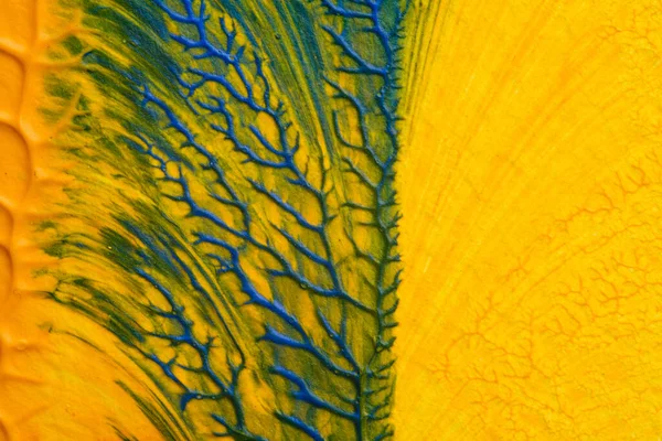 Beyaz kağıda akrilik renkler çizdim ve kağıdı karıştırılmış akrilik renklerin dokusunu oluşturan rorschach mürekkep lekesine benzer şekilde katladım..