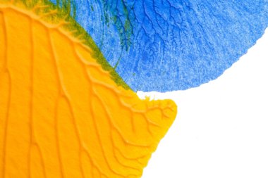 Beyaz kağıda akrilik renkler çizdim ve kağıdı karıştırılmış akrilik renklerin dokusunu oluşturan rorschach mürekkep lekesine benzer şekilde katladım..