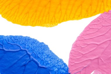 Beyaz kağıda akrilik renkler çizdim ve kağıdı karıştırılmış akrilik renklerin dokusunu oluşturan rorschach mürekkep lekesine benzer şekilde katladım..