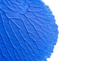 Beyaz kağıda akrilik renkler çizdim ve kağıdı karıştırılmış akrilik renklerin dokusunu oluşturan rorschach mürekkep lekesine benzer şekilde katladım..