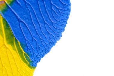 Beyaz kağıda akrilik renkler çizdim ve kağıdı karıştırılmış akrilik renklerin dokusunu oluşturan rorschach mürekkep lekesine benzer şekilde katladım..