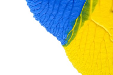 Beyaz kağıda akrilik renkler çizdim ve kağıdı karıştırılmış akrilik renklerin dokusunu oluşturan rorschach mürekkep lekesine benzer şekilde katladım..