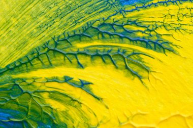 Beyaz kağıda akrilik renkler çizdim ve kağıdı karıştırılmış akrilik renklerin dokusunu oluşturan rorschach mürekkep lekesine benzer şekilde katladım..