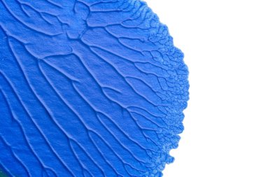 Beyaz kağıda akrilik renkler çizdim ve kağıdı karıştırılmış akrilik renklerin dokusunu oluşturan rorschach mürekkep lekesine benzer şekilde katladım..