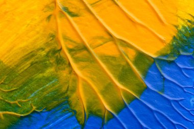 Beyaz kağıda akrilik renkler çizdim ve kağıdı karıştırılmış akrilik renklerin dokusunu oluşturan rorschach mürekkep lekesine benzer şekilde katladım..