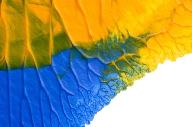 Beyaz kağıda akrilik renkler çizdim ve kağıdı karıştırılmış akrilik renklerin dokusunu oluşturan rorschach mürekkep lekesine benzer şekilde katladım..