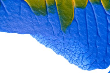 Beyaz kağıda akrilik renkler çizdim ve kağıdı karıştırılmış akrilik renklerin dokusunu oluşturan rorschach mürekkep lekesine benzer şekilde katladım..