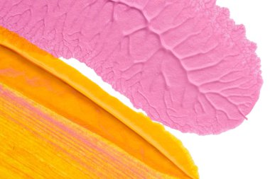 Beyaz kağıda akrilik renkler çizdim ve kağıdı karıştırılmış akrilik renklerin dokusunu oluşturan rorschach mürekkep lekesine benzer şekilde katladım..