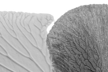 beyaz kağıt arkaplan üzerinde siyah beyaz soyut akrilik boya renk dokusu rorschach mürekkep lekesi yöntemi kullanarak