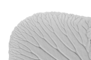 beyaz kağıt arkaplan üzerinde siyah beyaz soyut akrilik boya renk dokusu rorschach mürekkep lekesi yöntemi kullanarak