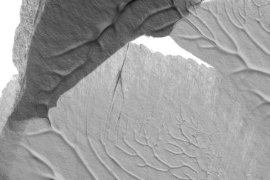 beyaz kağıt arkaplan üzerinde siyah beyaz soyut akrilik boya renk dokusu rorschach mürekkep lekesi yöntemi kullanarak