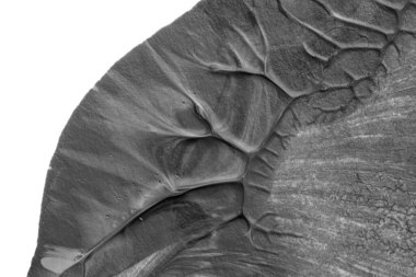 beyaz kağıt arkaplan üzerinde siyah beyaz soyut akrilik boya renk dokusu rorschach mürekkep lekesi yöntemi kullanarak