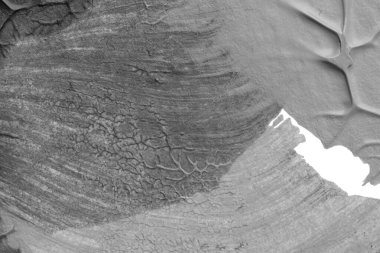 beyaz kağıt arkaplan üzerinde siyah beyaz soyut akrilik boya renk dokusu rorschach mürekkep lekesi yöntemi kullanarak