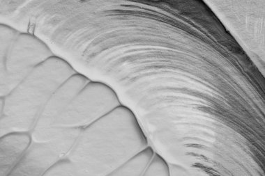 beyaz kağıt arkaplan üzerinde siyah beyaz soyut akrilik boya renk dokusu rorschach mürekkep lekesi yöntemi kullanarak